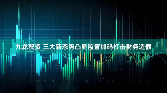 九龙配资 三大新态势凸显监管加码打击财务造假